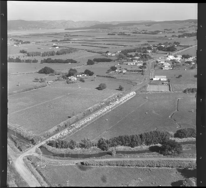 Otaua, south of Waiuku, Auckland Region