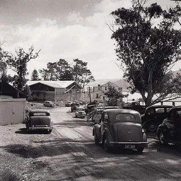 Image: Opo: The Hokianga Dolphin (#31)