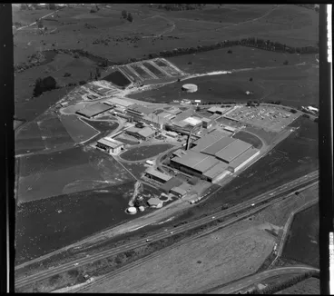 Image: Te Puke Freezing Works, (Rangiuru AFFCO)