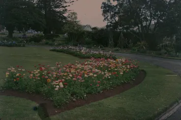Image: In the Domain Gardens, Auckland
