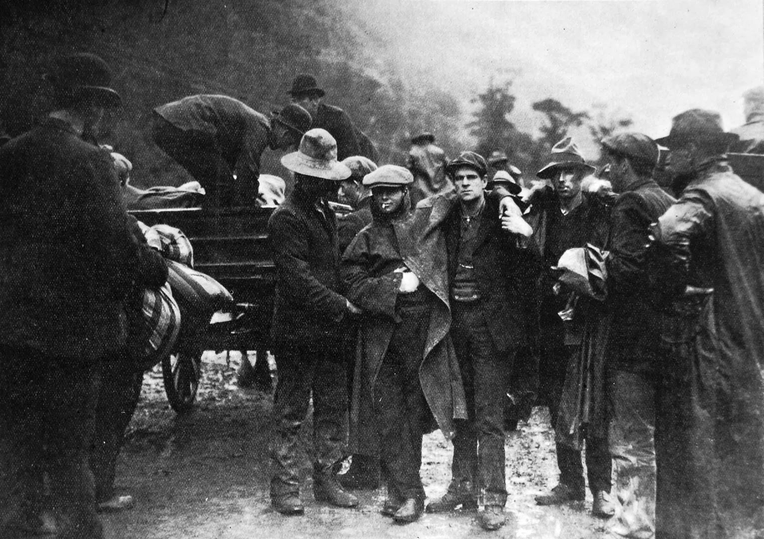 Bringing out Bray to the cart