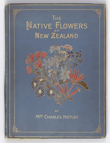 Image: The native flowers of New Zealand