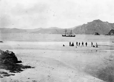 Image: Photograph taken on Codfish Island, Southland, by Alfred Burton
