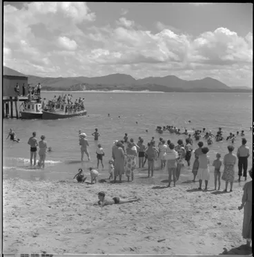 Image: Opo the dolphin, Opononi