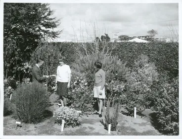 Image: Agriculture - Floriculture