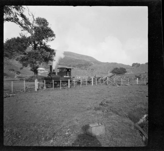 Locomotive hauling logs, Piha