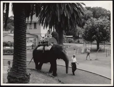 Image: Children riding on an elephant at the Auckland Zoo