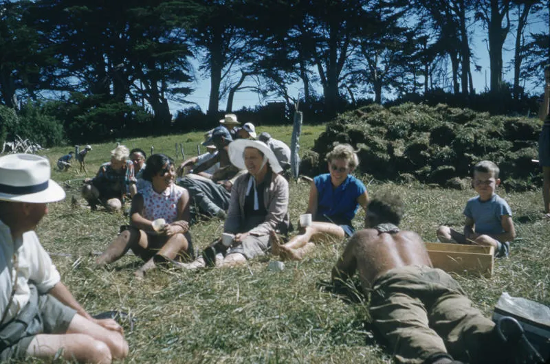 Olsson swamp excavation, lunch time, Waitara
