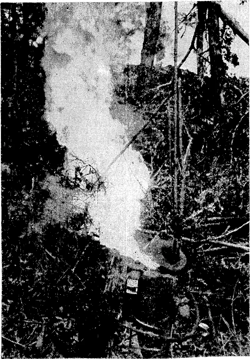 Australian Official Photo. The entrance to a Japanese fox-hole is behind this sheet of flame, which, is being projected by Sergeant. K. Wylde, of Victoria, using a modern military flame-thrower. Twelve Japs who were hiding in tunnels and holes on. the hillside were killed in the Australian clean-up of the. Margy Hill area of Tarakan. (Evening Post, 04 July 1945)