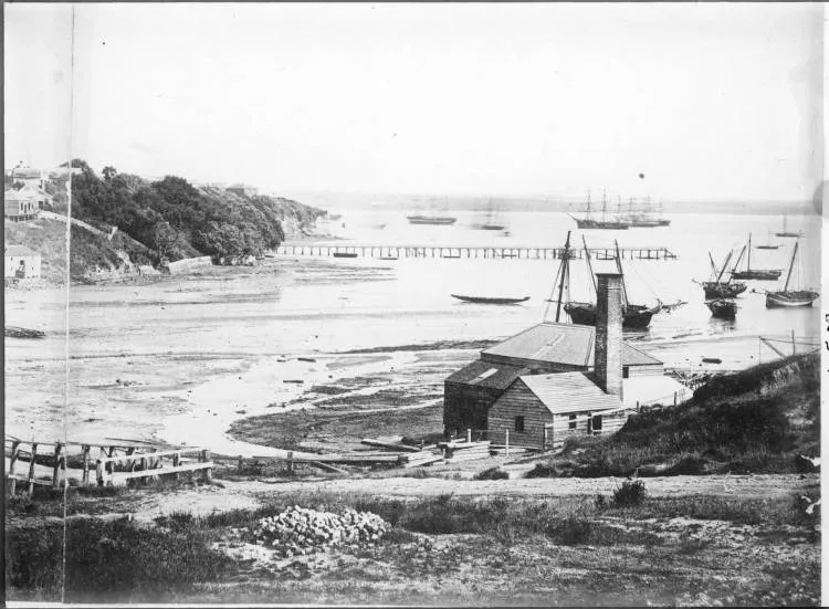 Mechanics Bay, Parnell, 1863