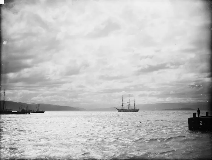 Wellington Harbour, semi-moonlight