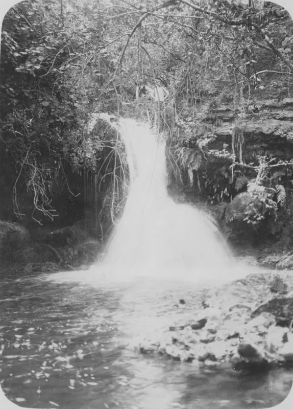 Upper Tangoio Falls