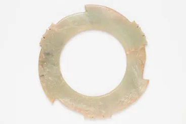 Image: disc
