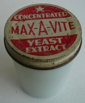 Container MAX-A-VITE