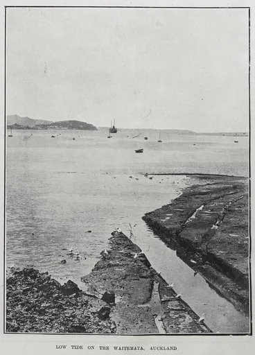 Image: LOW TIDE ON THE WAITEMATA, AUCKLAND