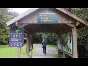 Raukuri Nature Walk Image: Raukuri Nature Walk