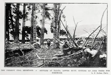 Image: The present coal shortage: a settler at Taiata, Lower Hutt, cutting up pine trees for firewood