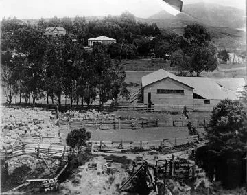 Homewood Station showing stockyards, cottage and homestead : photograph