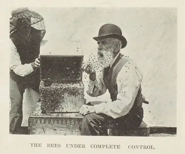 Image: Mr I. Hopkins transferring and handling bees
