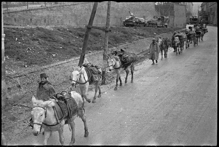 Mule train tended by Italian soldiers passes through streets of Castelfrentano, Italy, World War II - Photograph taken by George Kaye
