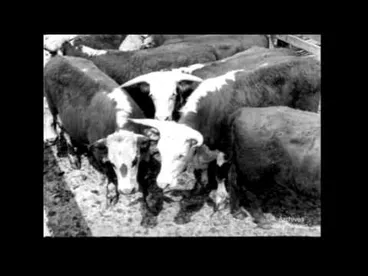 Image: These New Zealanders No. 6 Gore (1964)