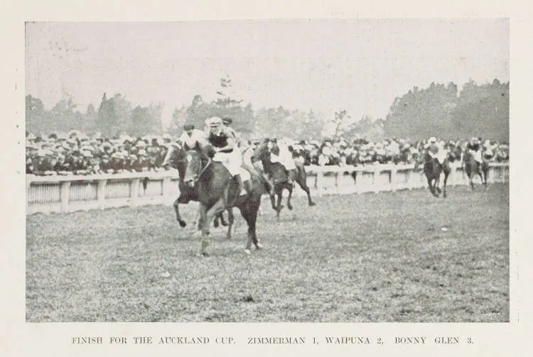 Finish for the Auckland Cup. Zimmerman 1, Waipuna 2, Bonny Glen 3