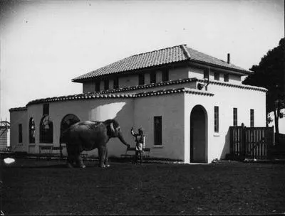 Elephant House, Auckland Zoo.