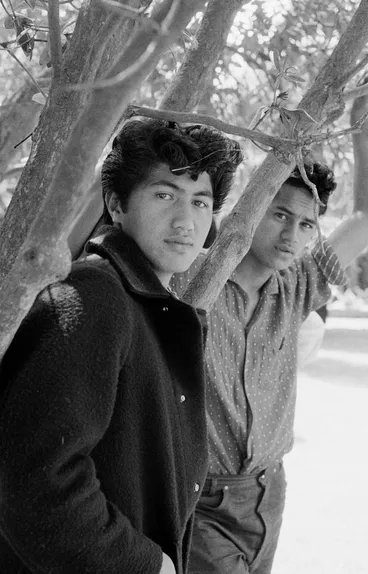 Image: Turangawaewae, Ngaruawahia. Taken for ‘New Zealand, gift of the sea’ (1963)