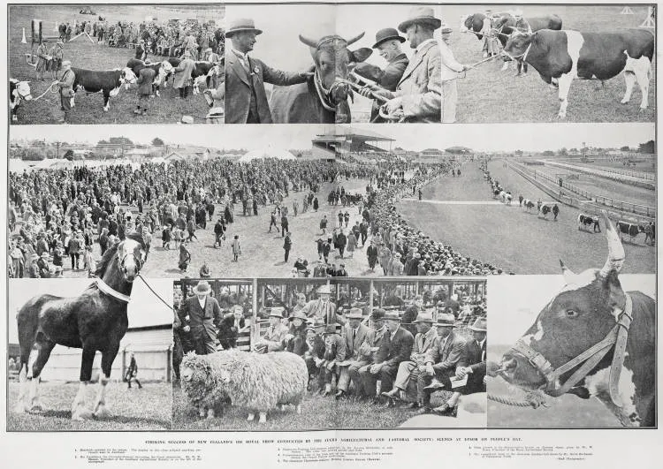 Striking Success of New Zealand's 1926 Royal Show Conducted by the Auckland Agricultural and Pastoral Society