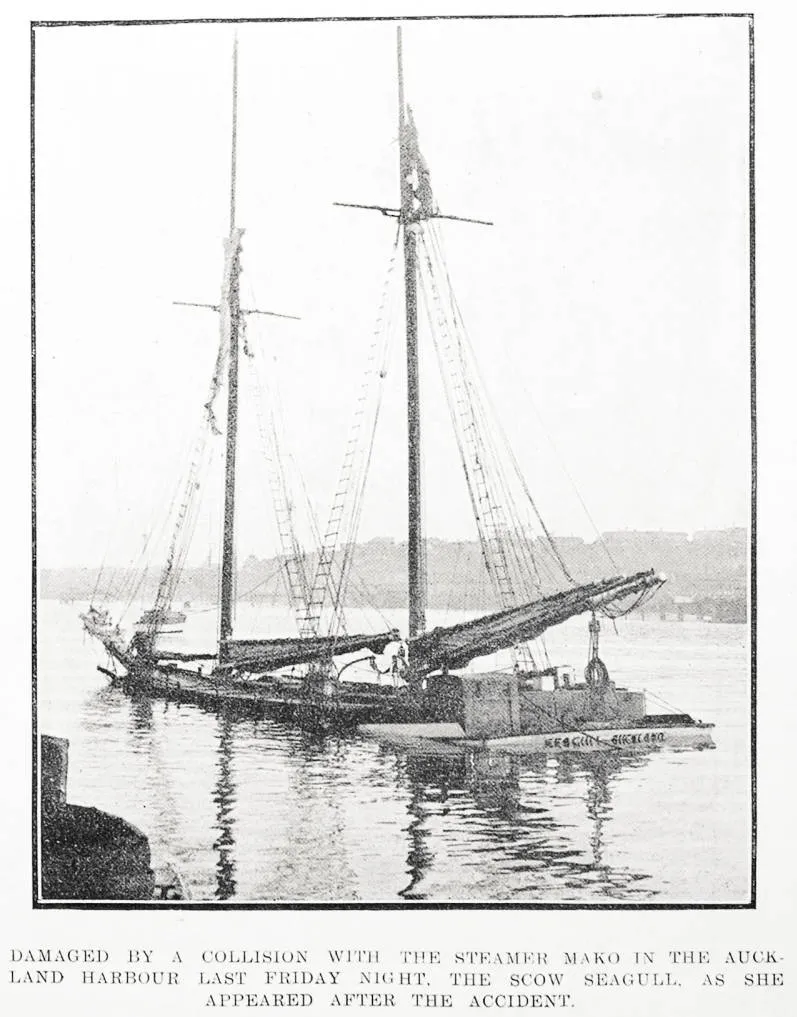 Damaged by a collision with the steamer Mako in the Auckland harbour last Friday night, the scow Seagull, as she appeared after the accident