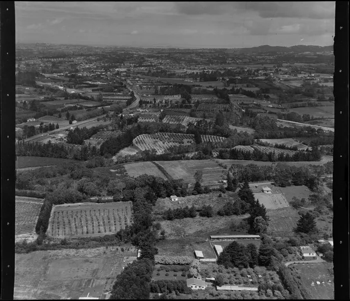 Swanson, West Auckland