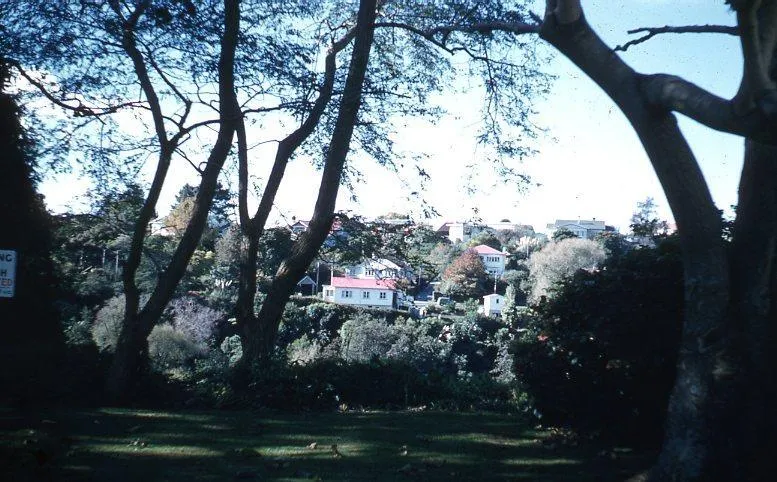 Slide - Hayes Padock across the Waikato River
