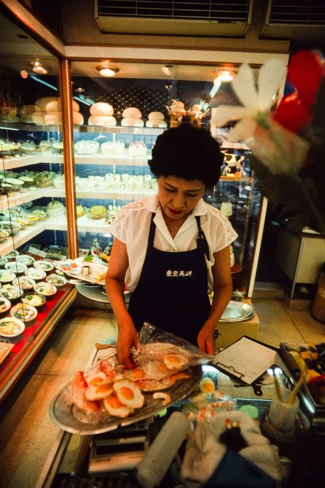 Japan Series: Plastic Food