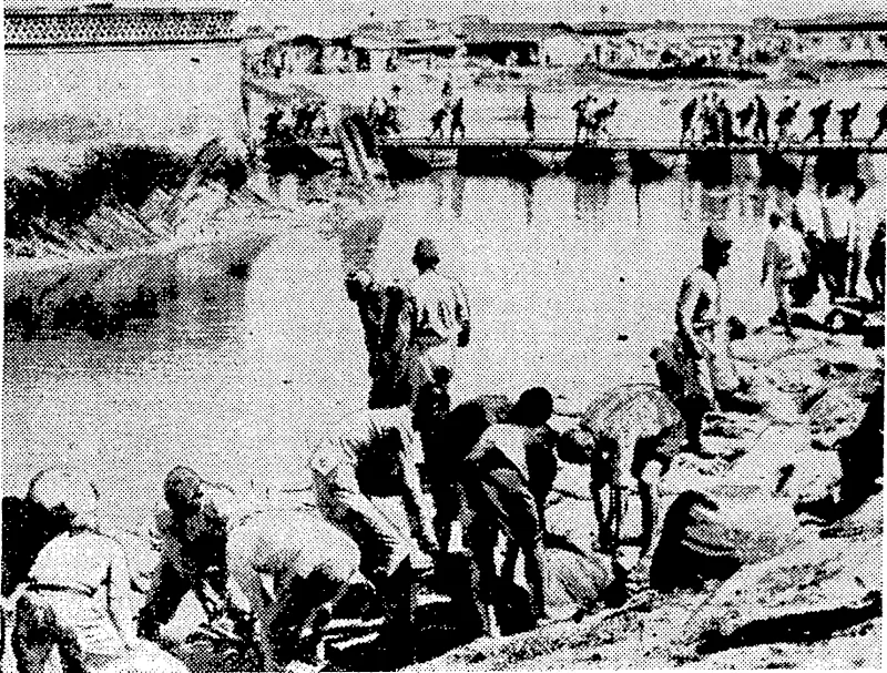 Recently: the town' of Tientsin was inundated when waters of the Pei River entered the town and transformed streets in the British and Japanese Concessions into' canals. Coolies are seen stacking sandbags to keep back the flood, waters. (Evening Post, 10 November 1939)