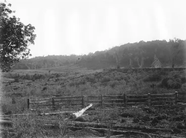 Image: Ōhaeawai, Northland