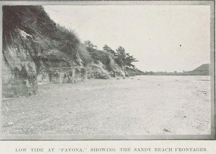 Low tide at Favona, showing the sandy beach frontages