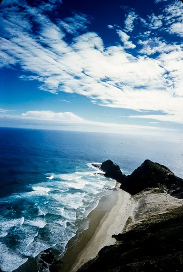 Image: Cape Reinga