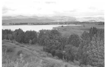 South end of Lake Horowhenua, 1977 Image: South end of Lake Horowhenua, 1977