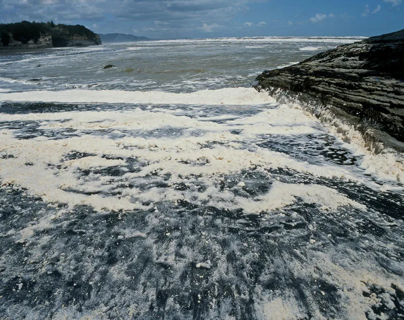 Tongaporutu Coastline - foam, Rapanui Beach, 4 November 2003