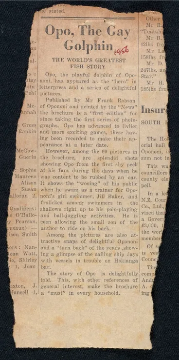 Image: Opo, the gay golphin