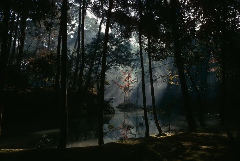 Japan series: Kokedera Saihoji garden