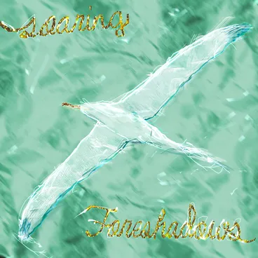 Image: Soaring / Foreshadows.