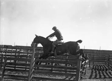 Image: Show Jumping Man at the Canterbury Agricultural and Pastoral Show, Christchurch, Canterbury, New Zealand.