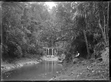 Image: Creek and dam at Anawhata