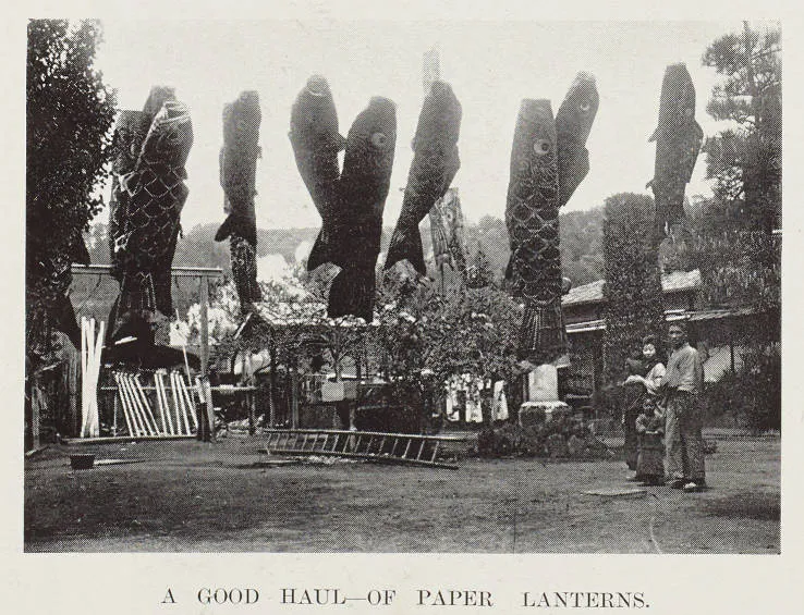 A good haul - of paper lanterns