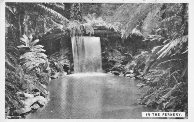 New Zealand & South Seas Exhibition - The Fernery, 1925-6