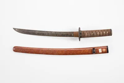 wakizash, sword