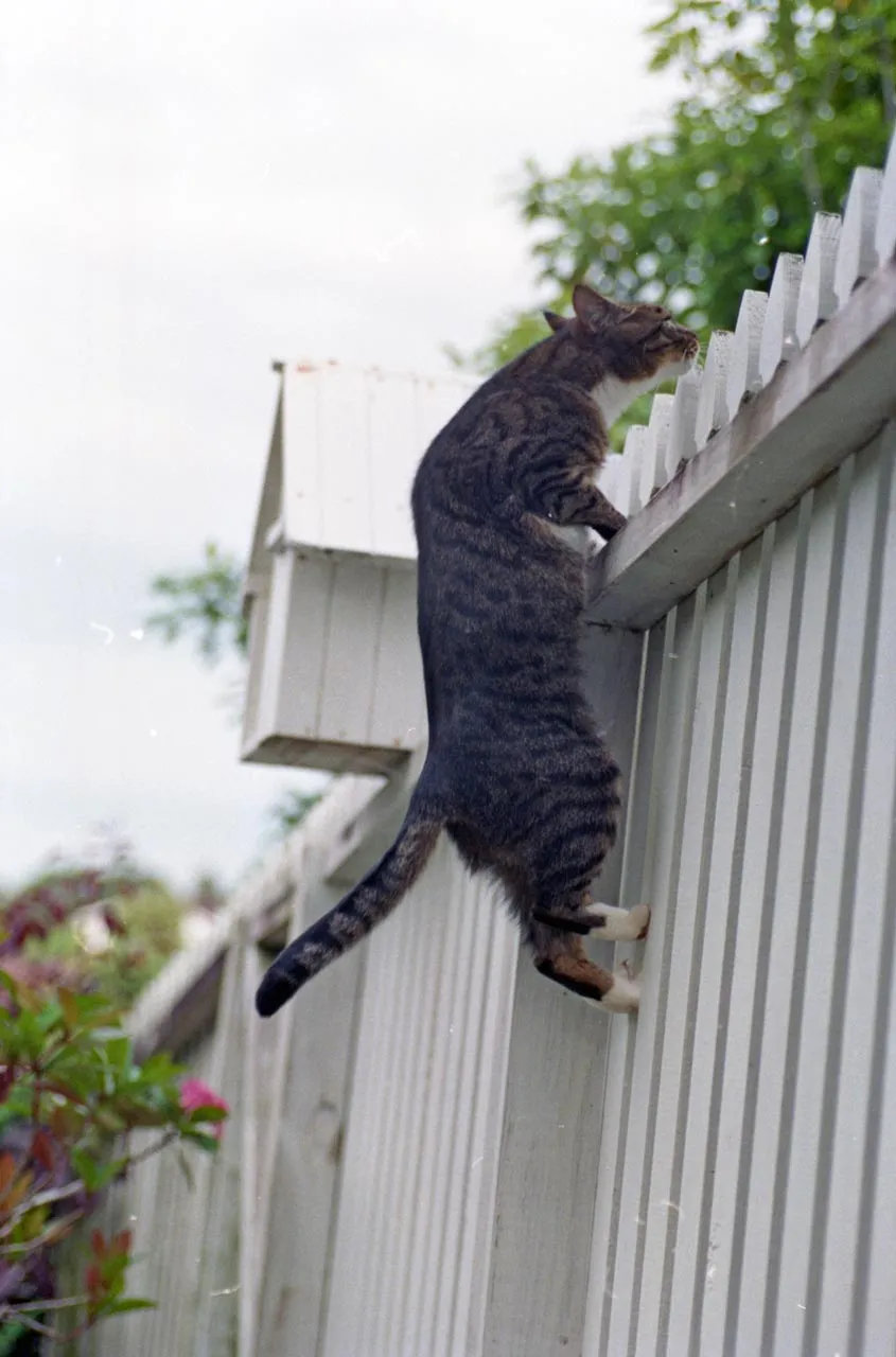 Miscellaneous photos from 2001