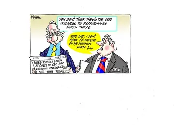 Image: Cost of District Health Board Executive Governance and CEO