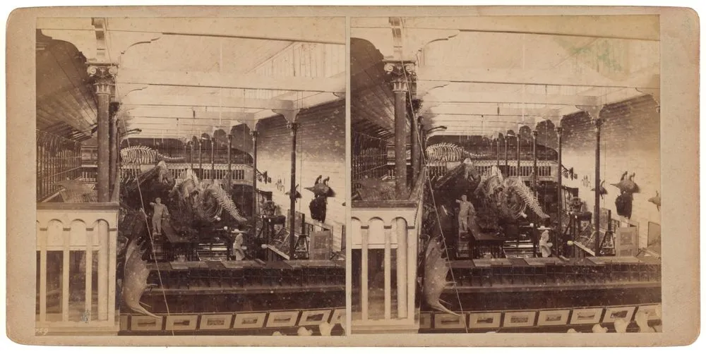 Colonial Museum, Wellington